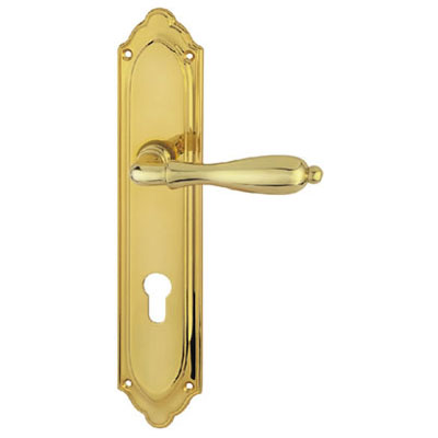 Brass Handle with Plate
